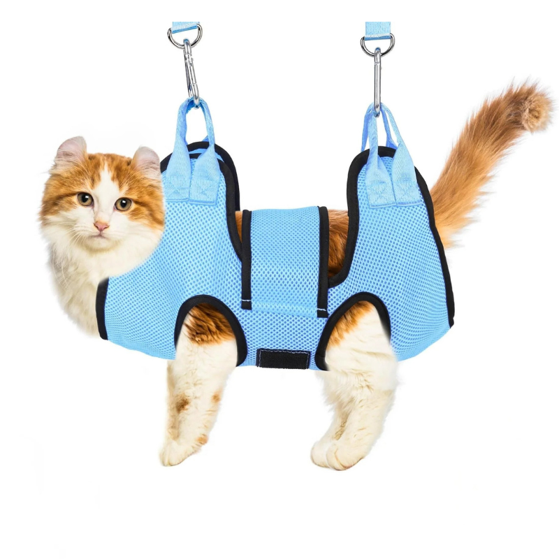 MiauSwing: Interactive Cat Toy with Engaging Motion for Active Play and Exercise